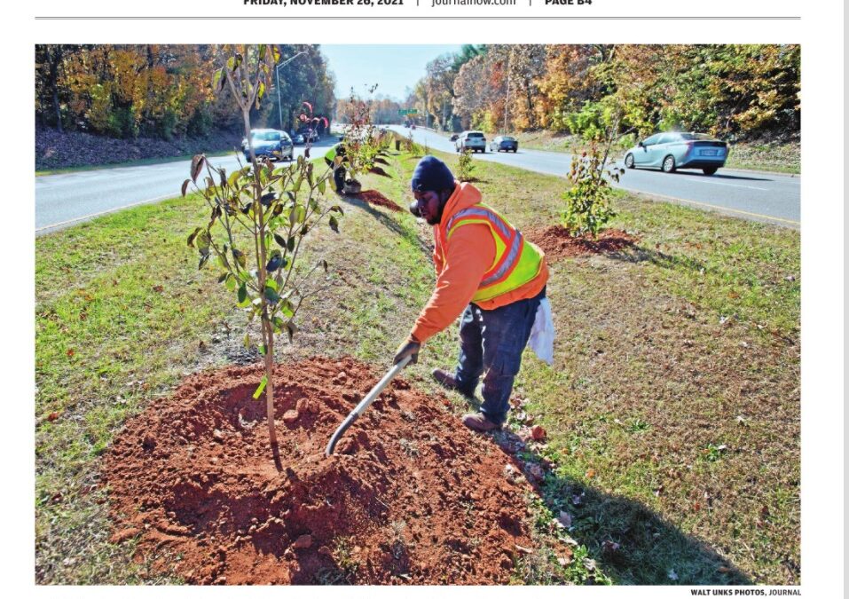 Planting on Silas Creek Parkway