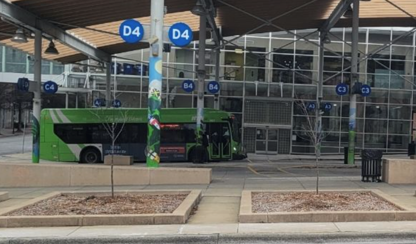 Trees at Transportation Center